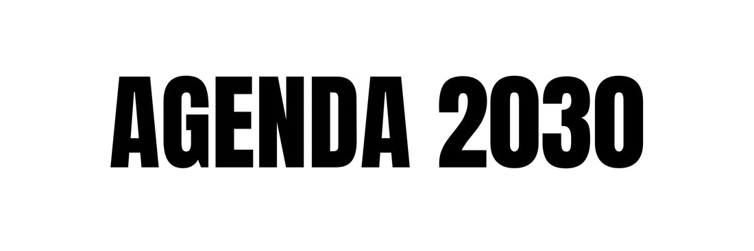Agenda 2030 (SDGs)