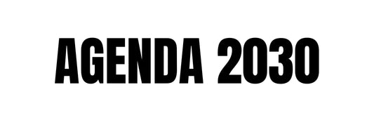 Agenda 2030 (SDGs)